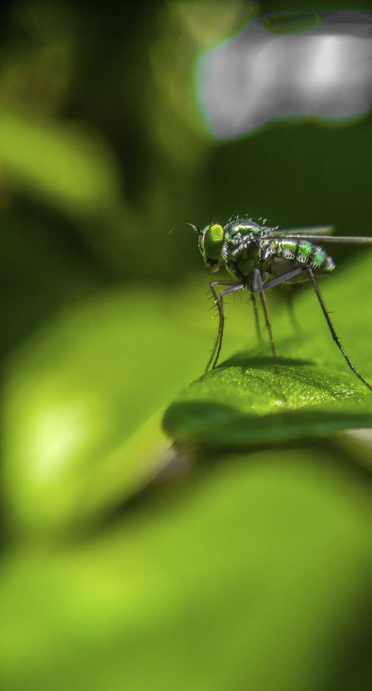 Photograph by Yogarajah Jathumilan