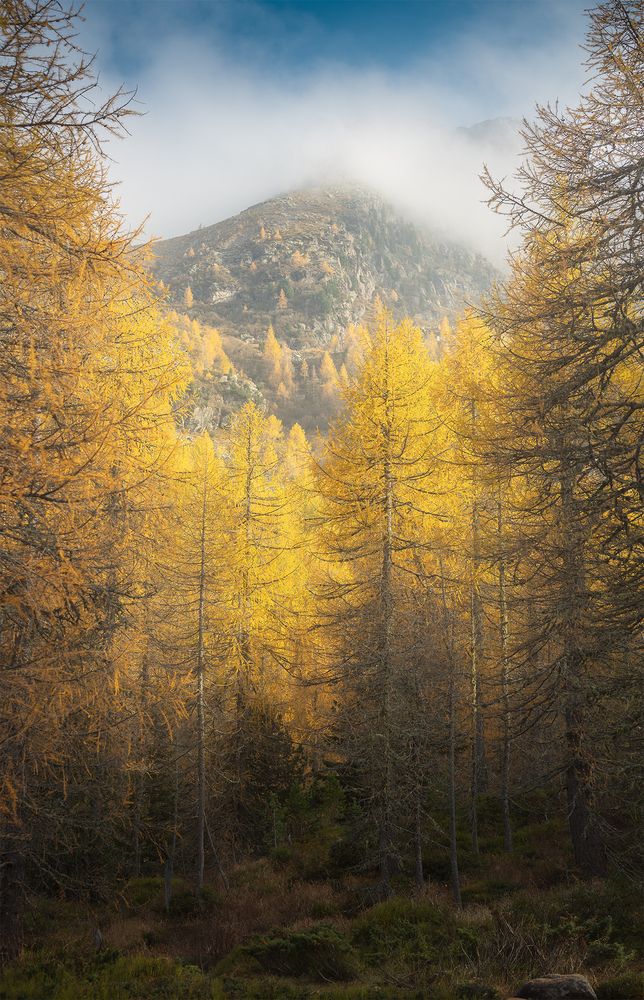 Photograph by Antonello Alò