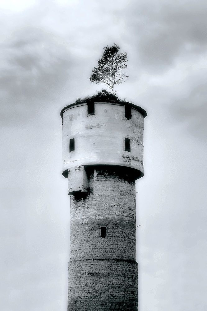 Photograph by Елена Ласун