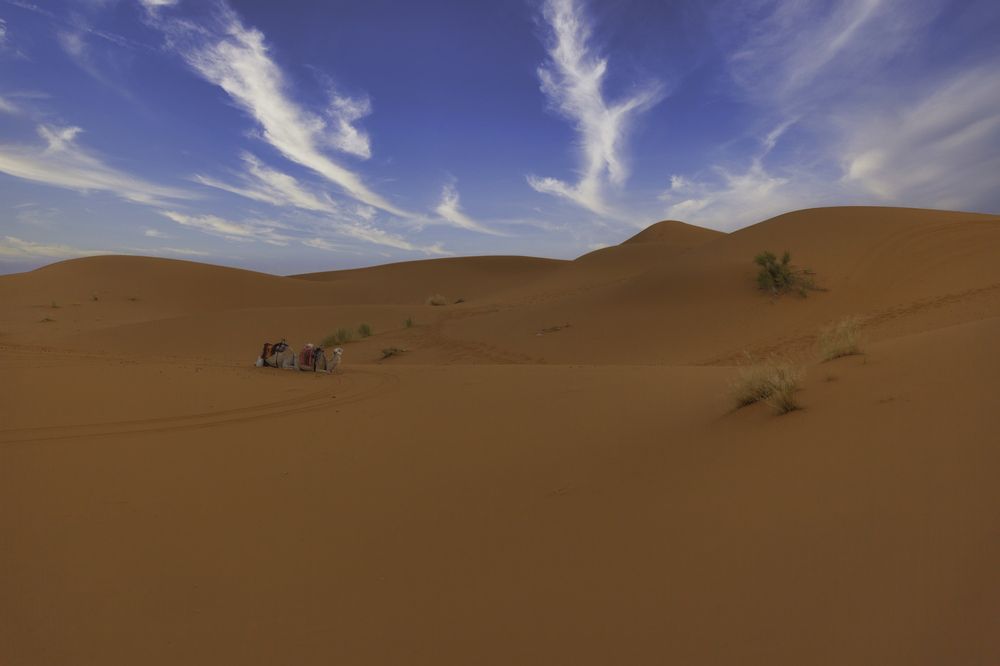 Photograph by Michael Latman