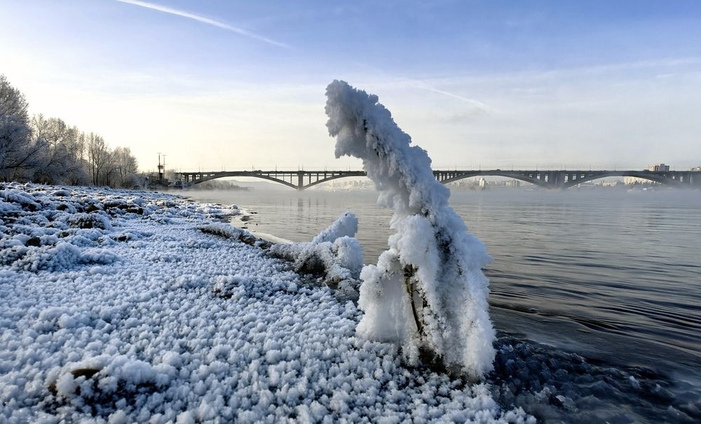 Пушистый охранник.