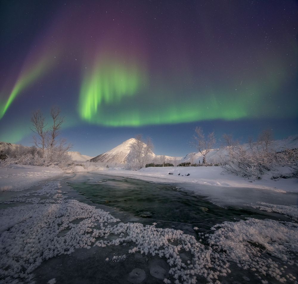 Photograph by Елена Ермолина