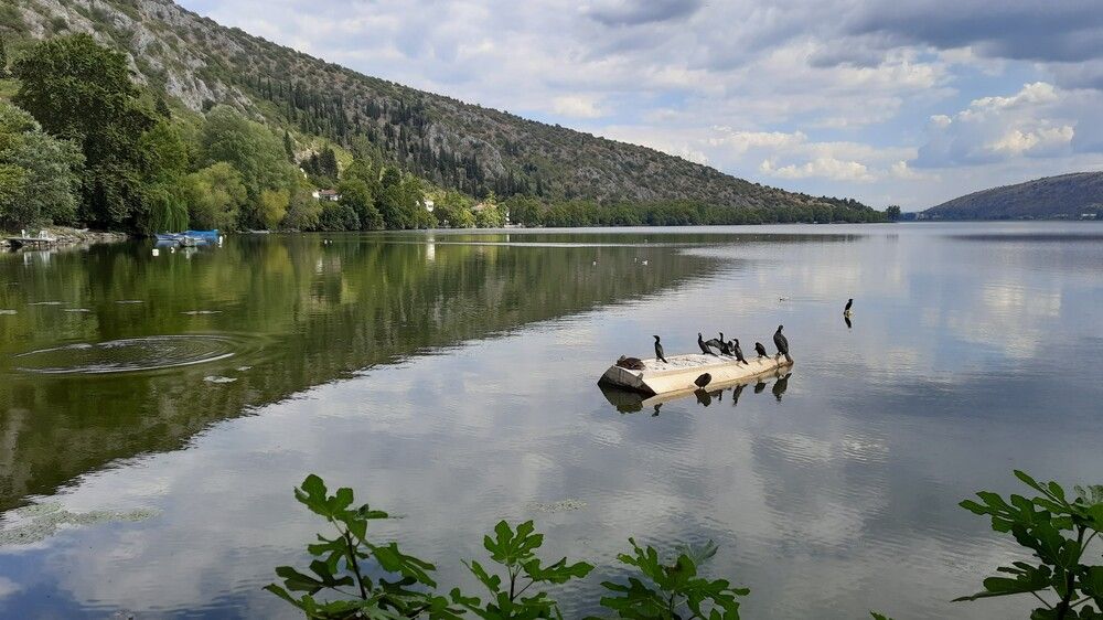 Photograph by Polyxeni Arapi