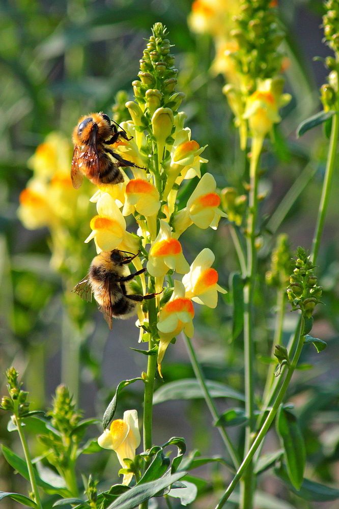 Photograph by Александр Велигура
