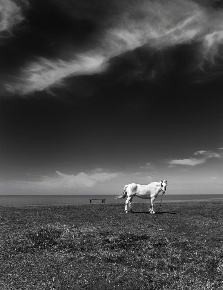 Photograph by Roberto Hagemann