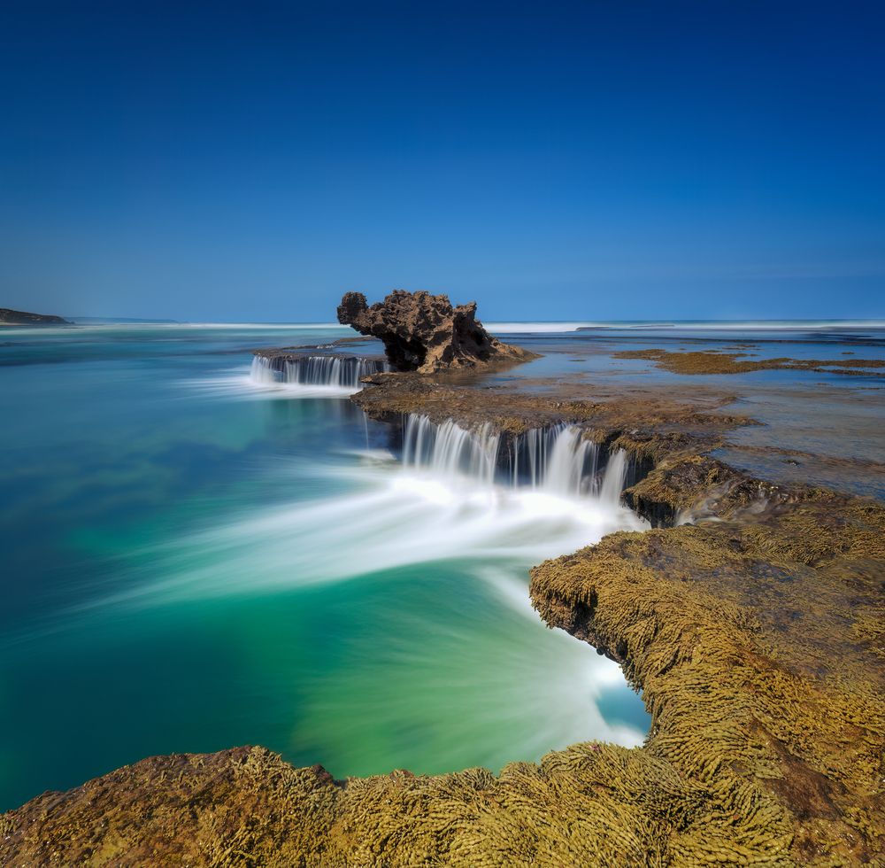 Photograph by wendy klein