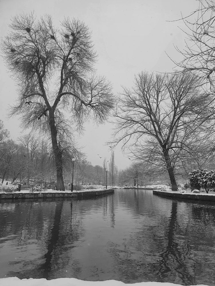 Photograph by Анастасия Трофимовская