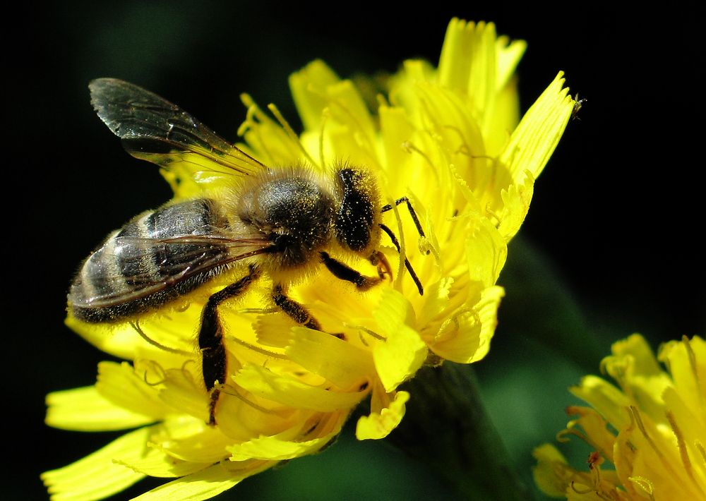 Photograph by Pavel Gukov