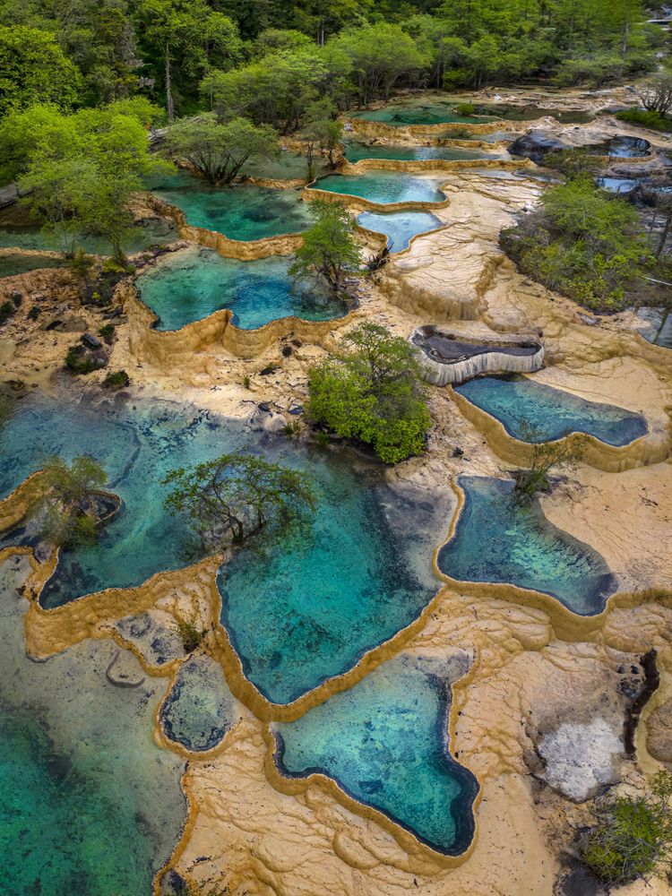 Photograph by Ольга Мусиенко