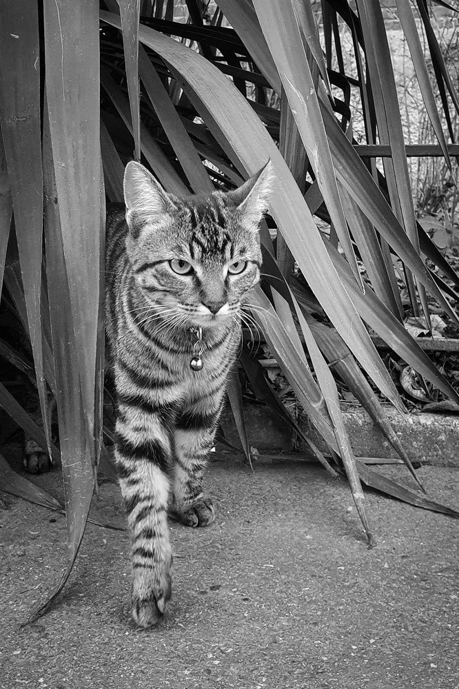 Photograph by Анастасия Трофимовская