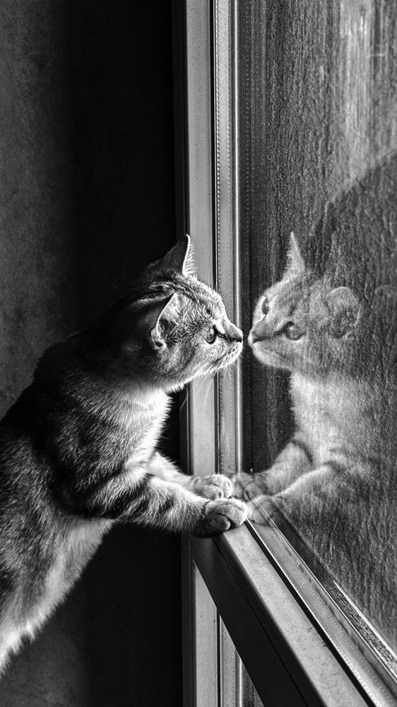 Photograph by Nata Smirnova