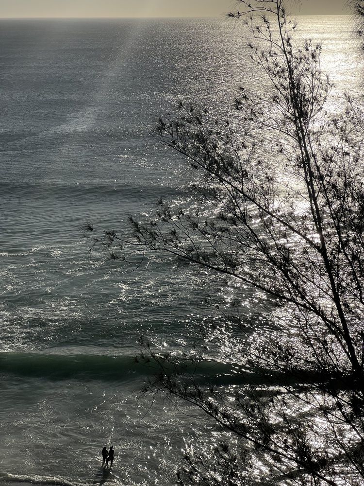 Photograph by Isabela M. Brum