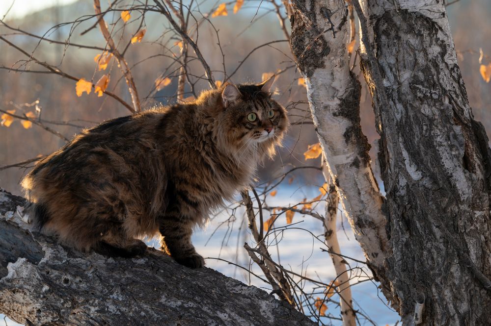 Photograph by Алексей Александрович