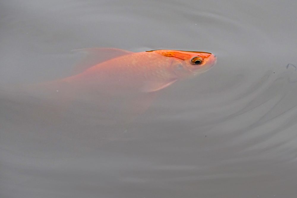 Photograph by Vy Van Bui