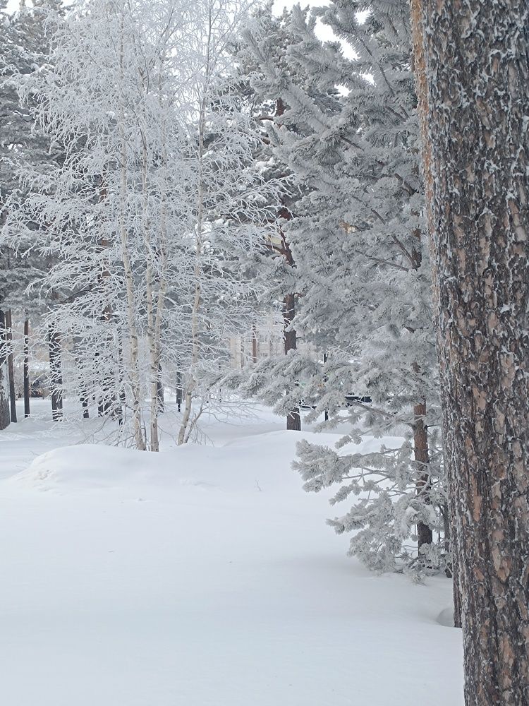 Photograph by Надежда Юшкова