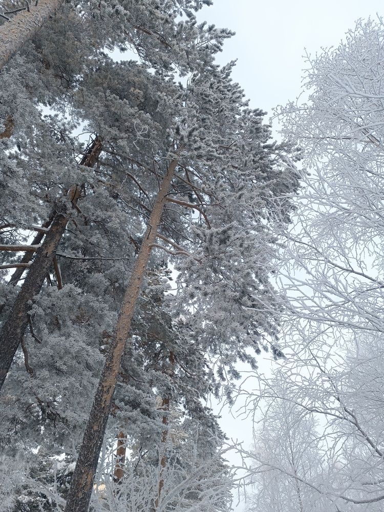 Photograph by Надежда Юшкова