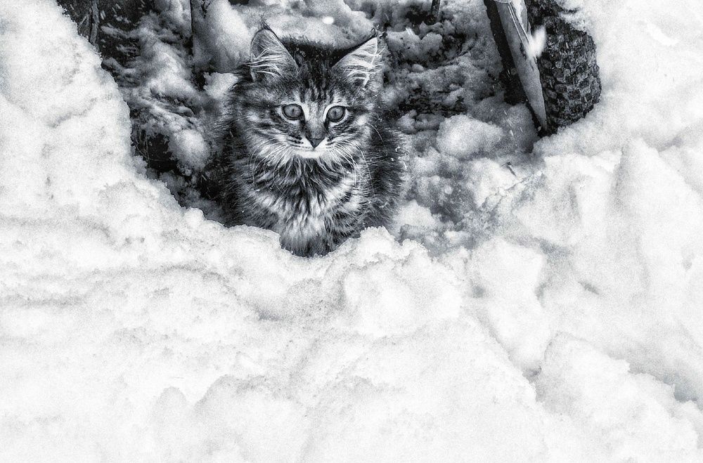 Photograph by Марина Мальцева