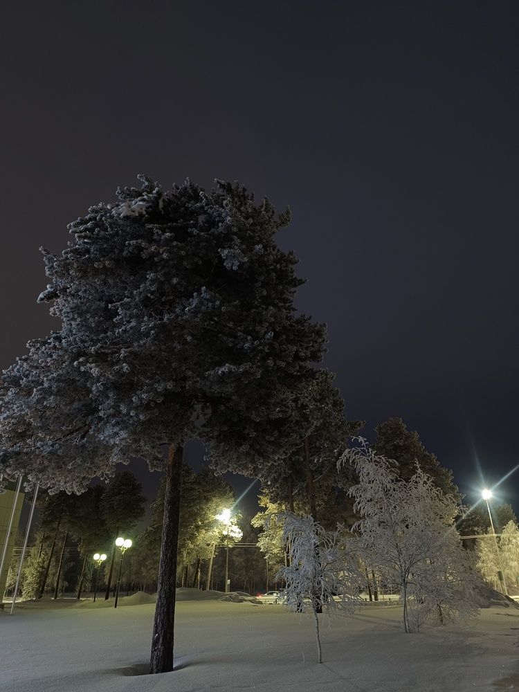 Photograph by Надежда Юшкова