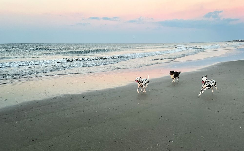 Фотография автора Hanna Nevreva