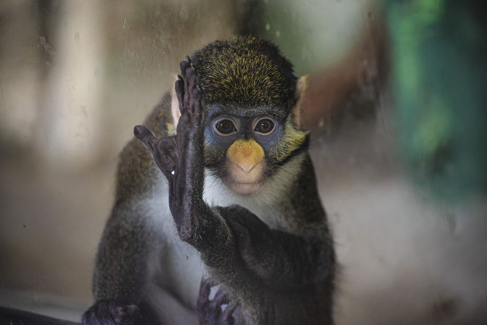 Фотография автора Ilona Pokrovskaya