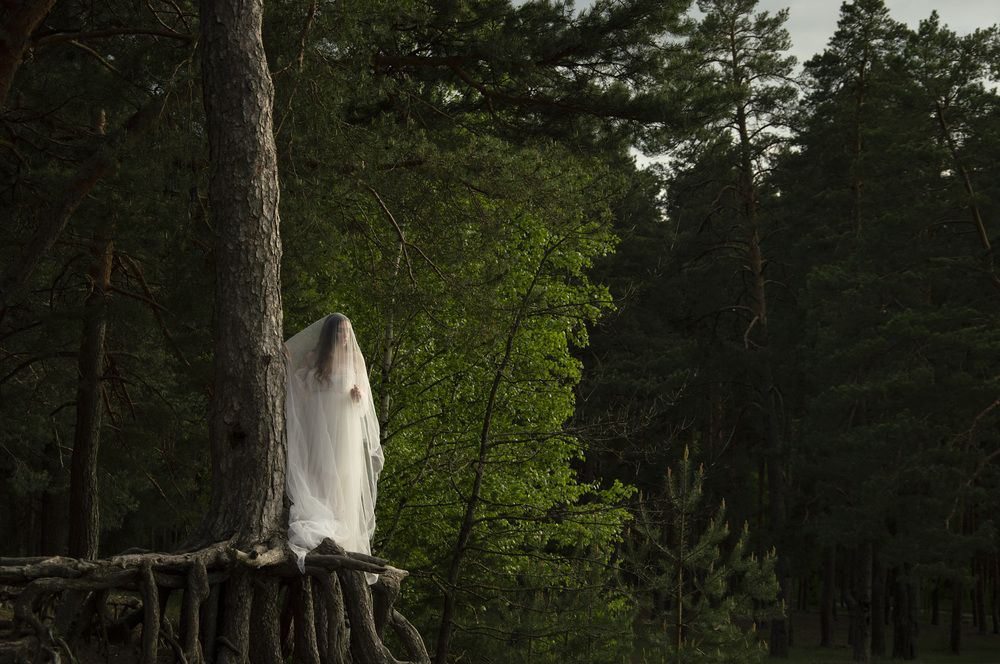 Photograph by Роман Сорокин