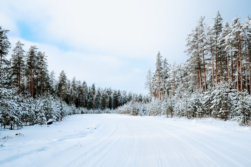 Photograph by Алексей Голубев