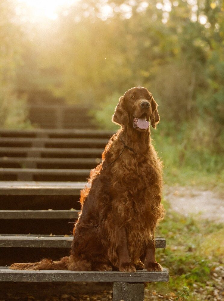 Photograph by Марина Суздаль