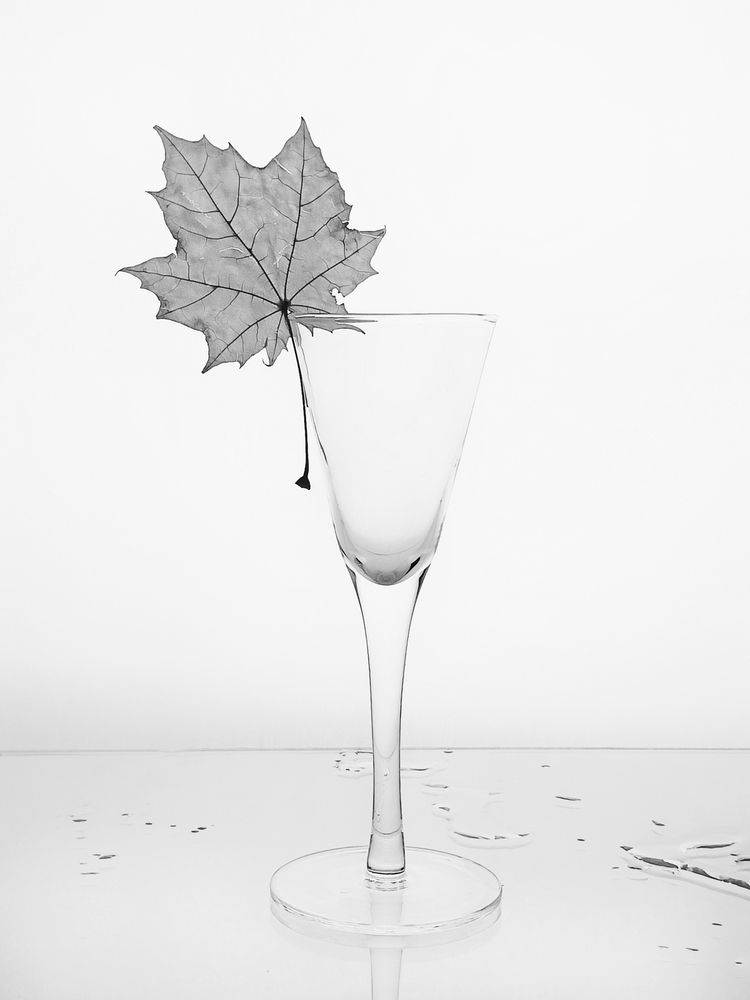 Photograph by Татьяна Шахова