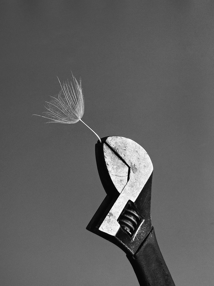 Photograph by Татьяна Шахова