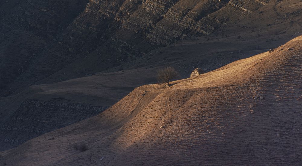 Photograph by Чухров Дмитрий