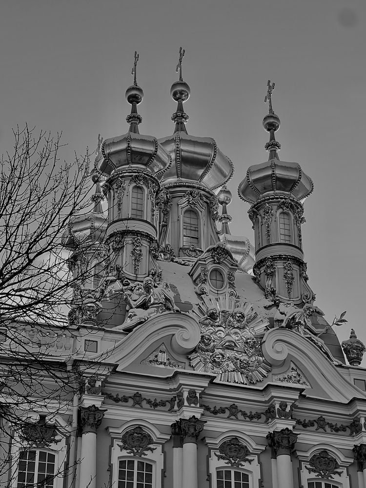 Photograph by Julia Belon