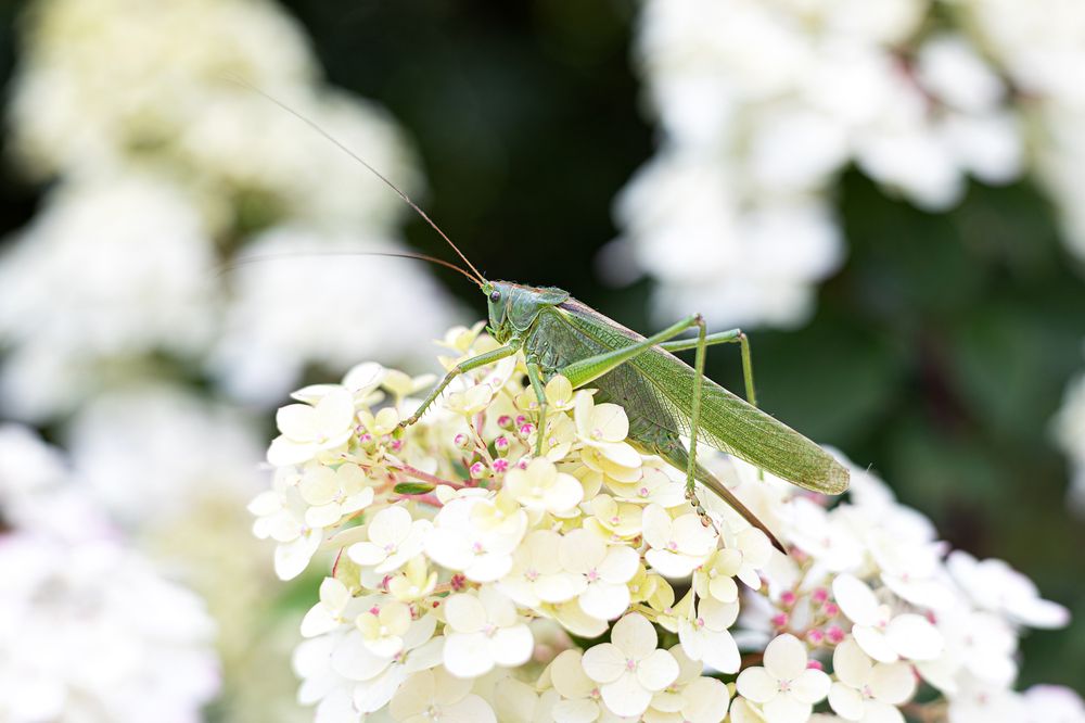 Photograph by Татьяна Бокарева