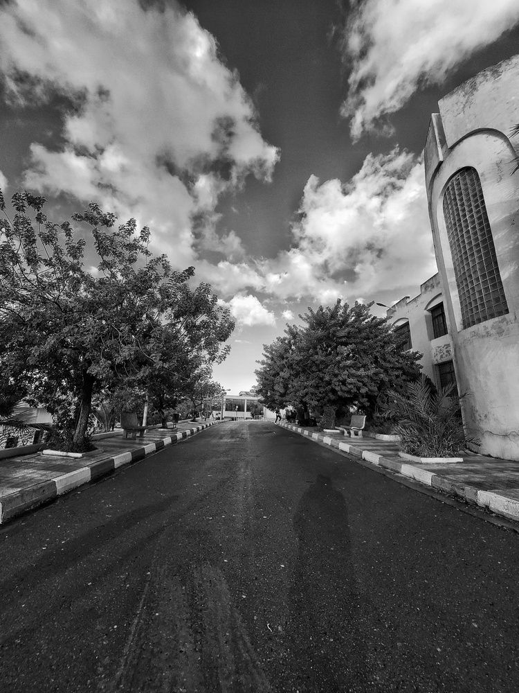 Photograph by Taoui Kheireddine