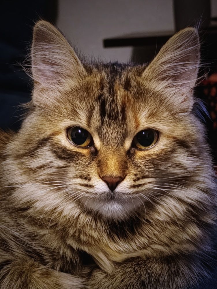 Photograph by Владимир Ковжаров