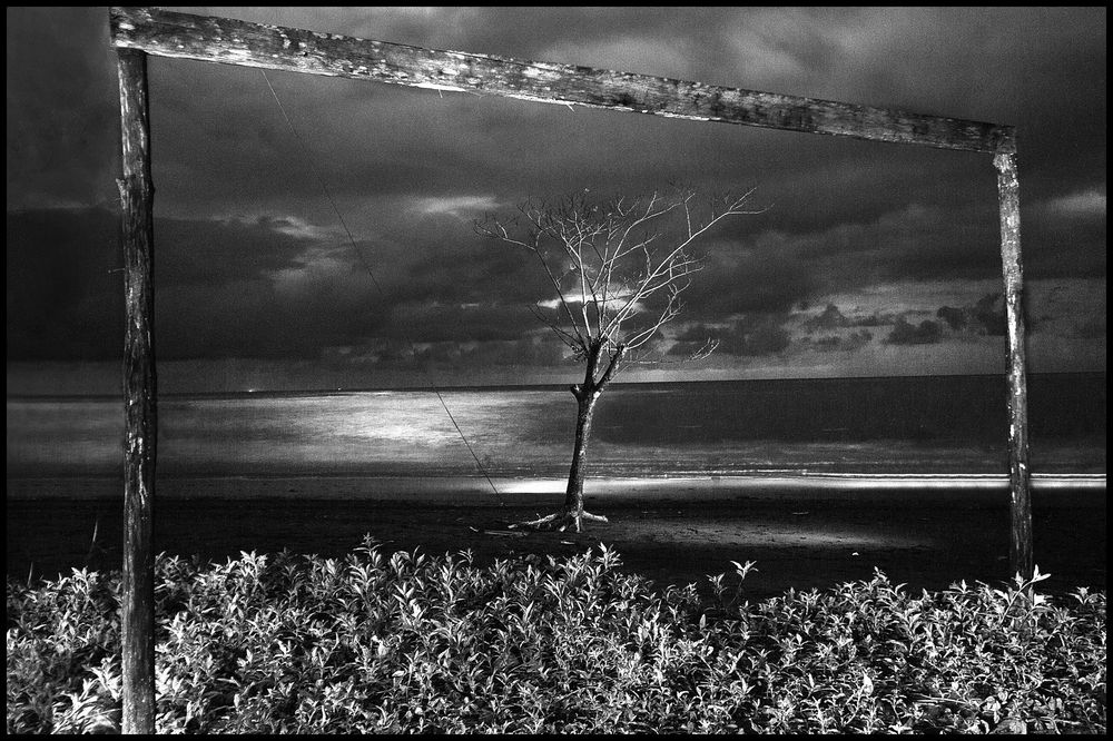 the frame of reality