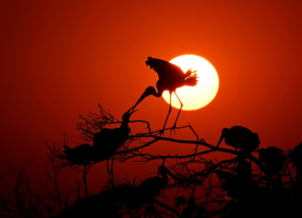 Photograph by Olga Ольга Joshi Джоши