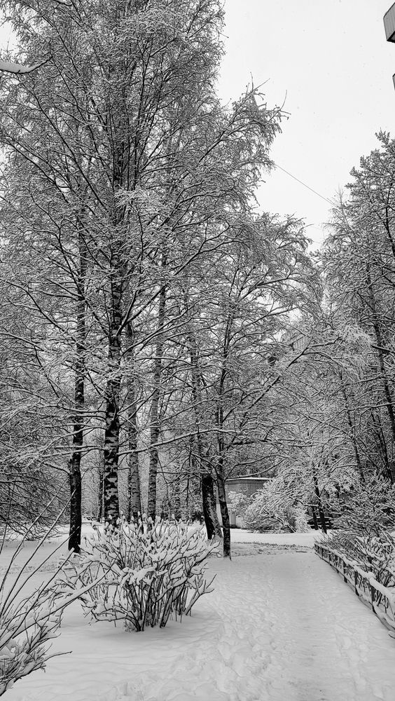 Photograph by Елена Юдина