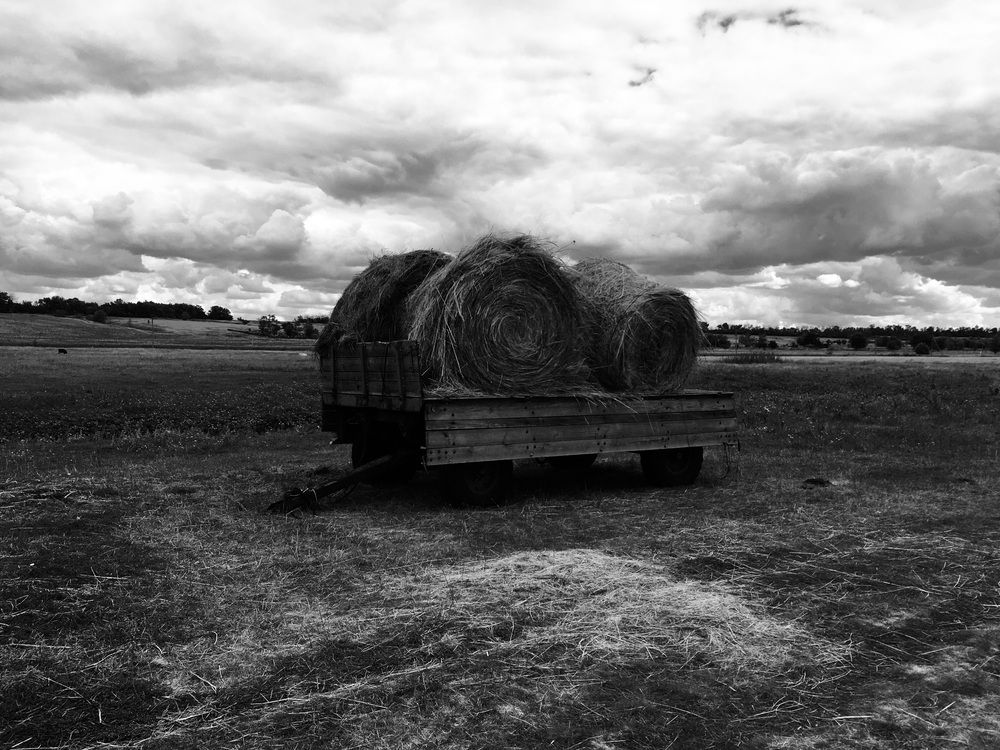 Photograph by Ирина