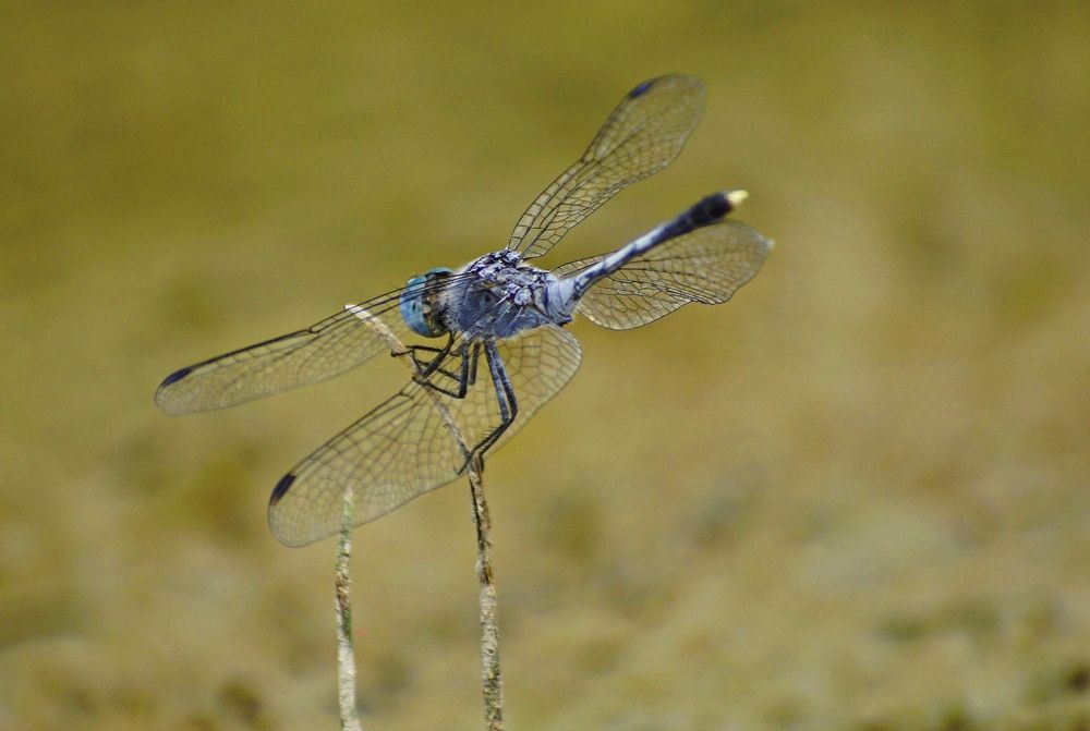 Photograph by Анна Васильева