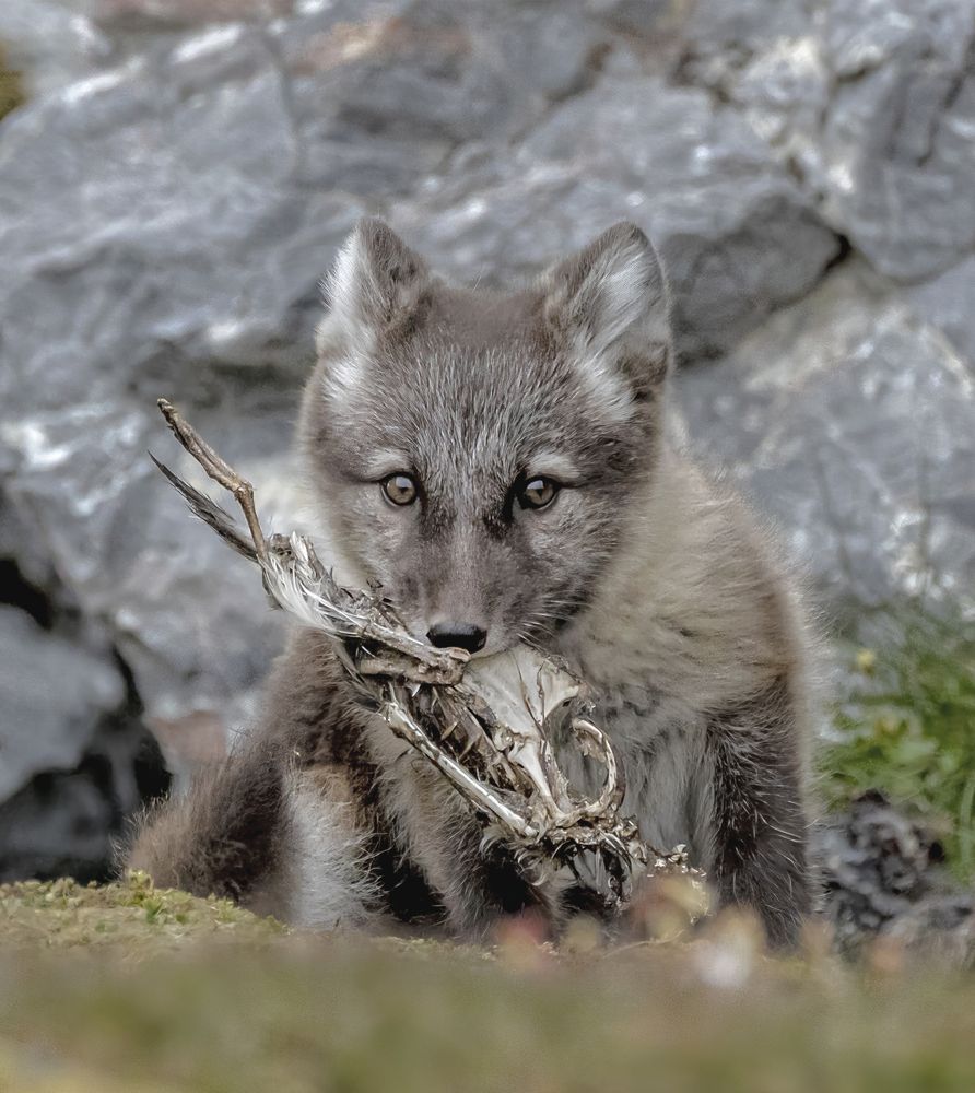 Фотография автора gagarin andrey