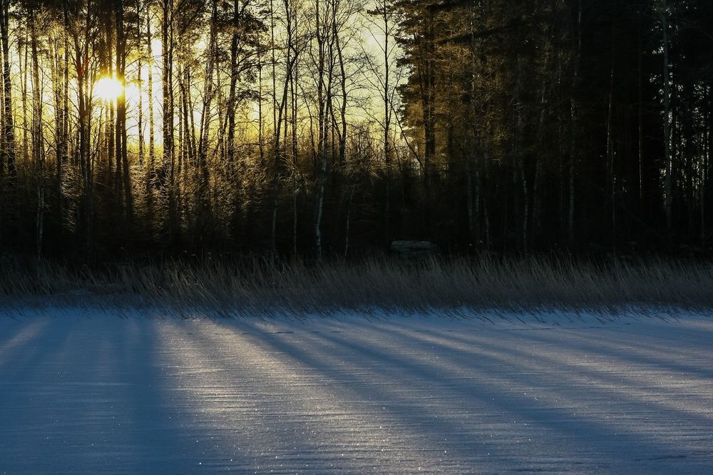 Photograph by Волынский Виктор