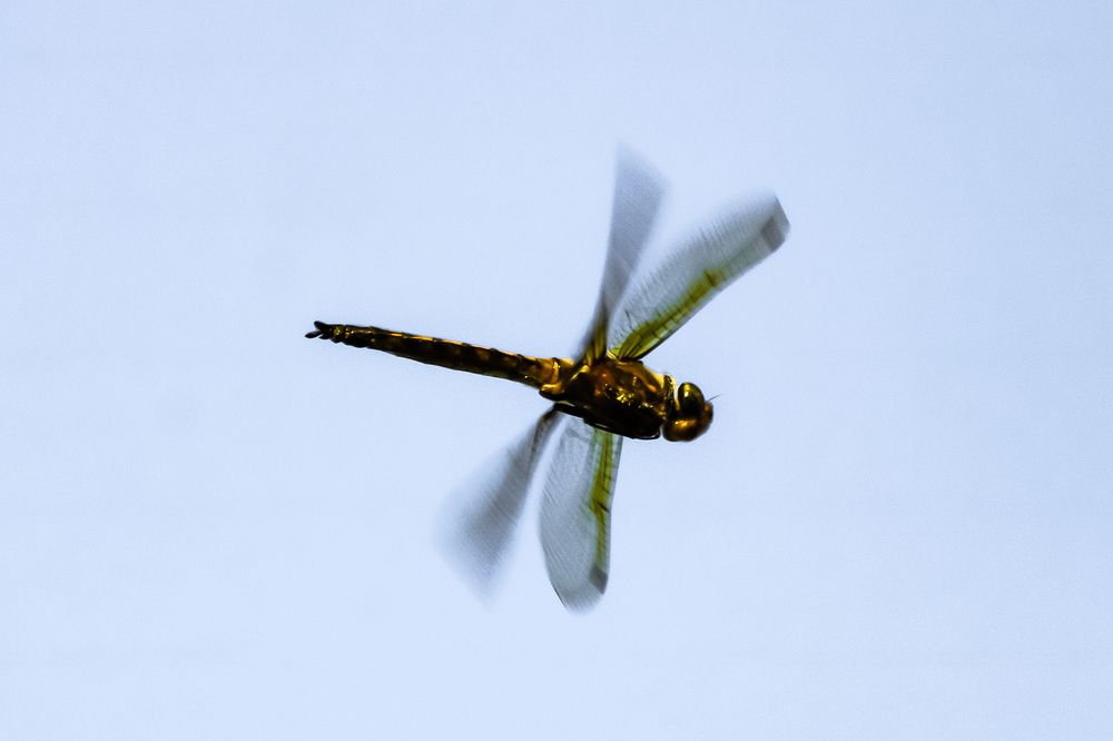 Photograph by Елизавета