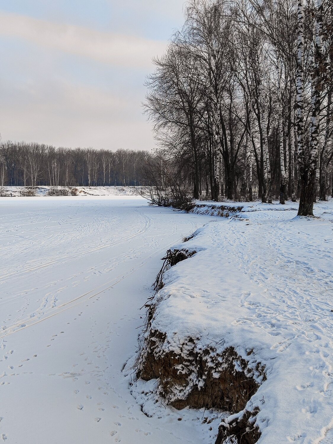Photo #11894912
