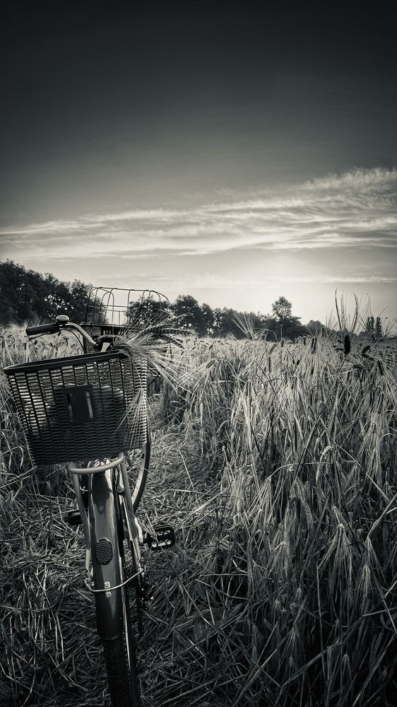 Photograph by Victoria Mogulyan