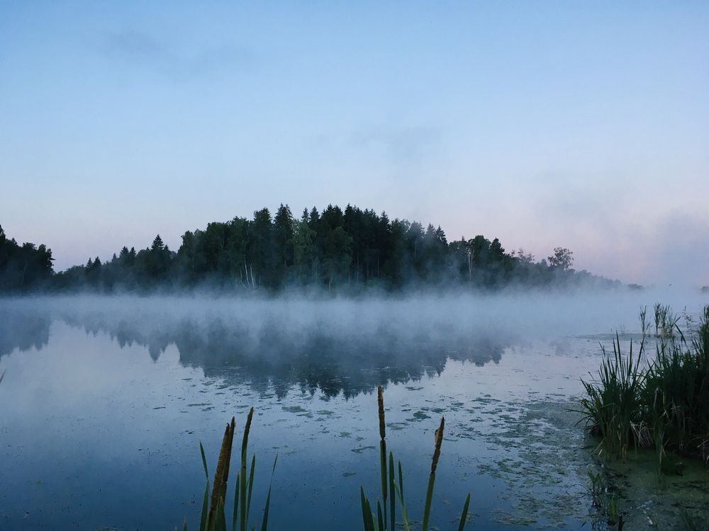 Photograph by Ирина