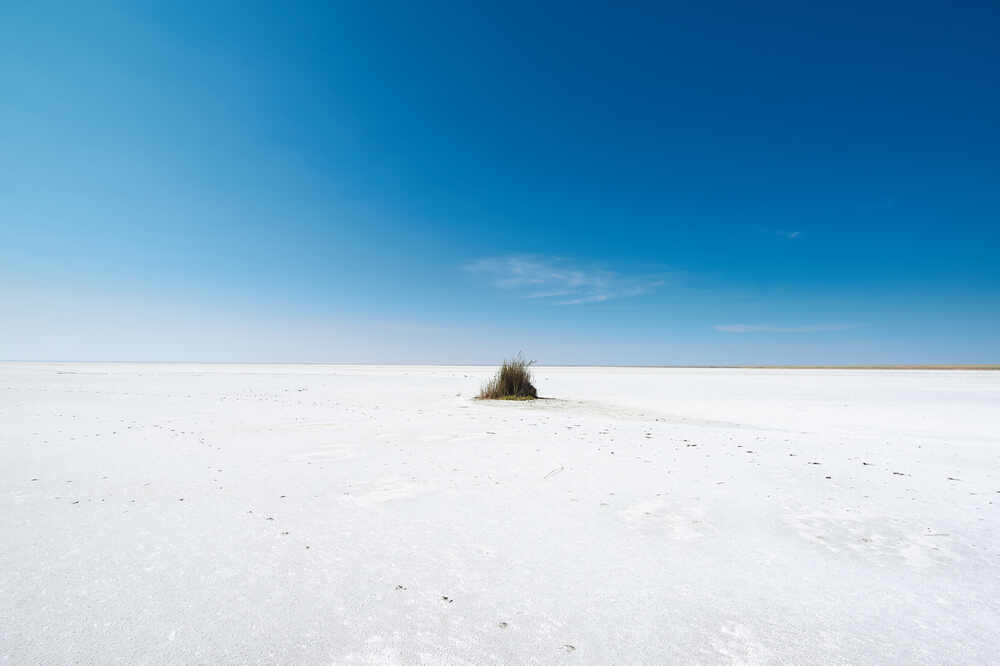 Photograph by Павел Сторчилов