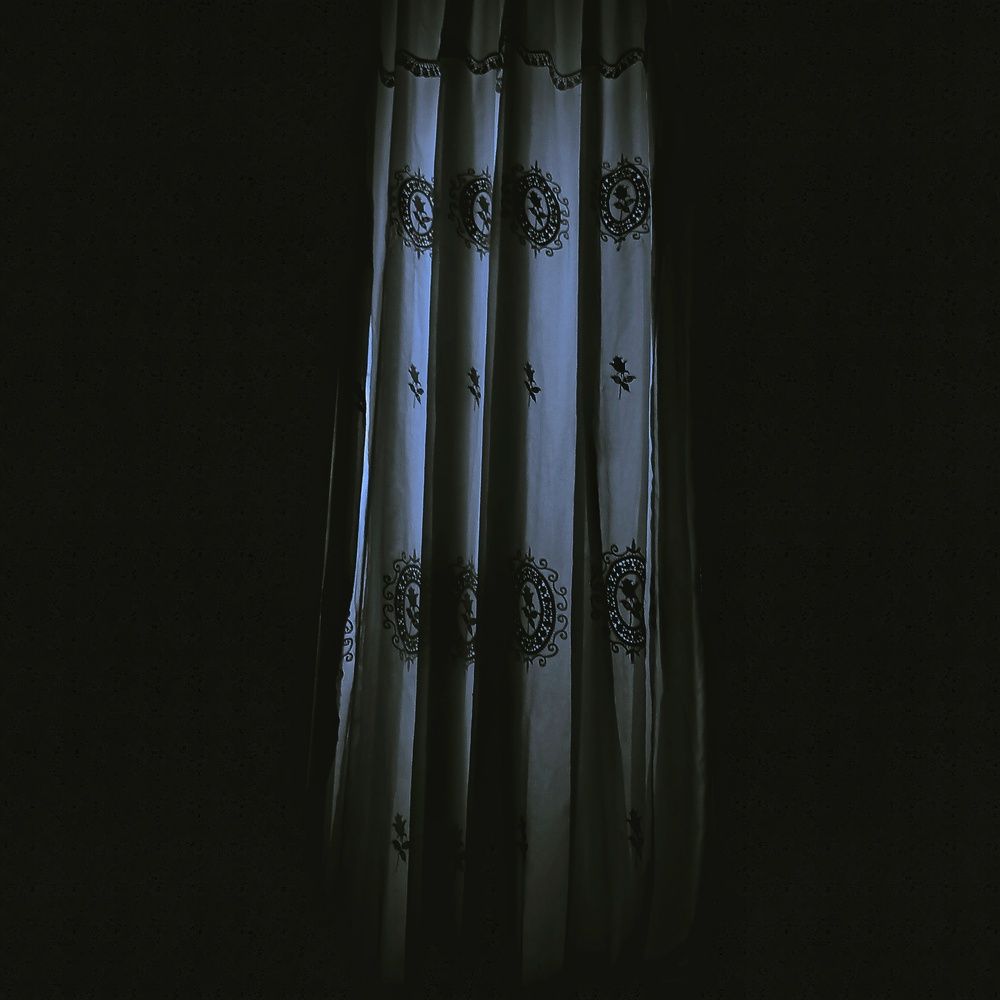 Photo #11895002