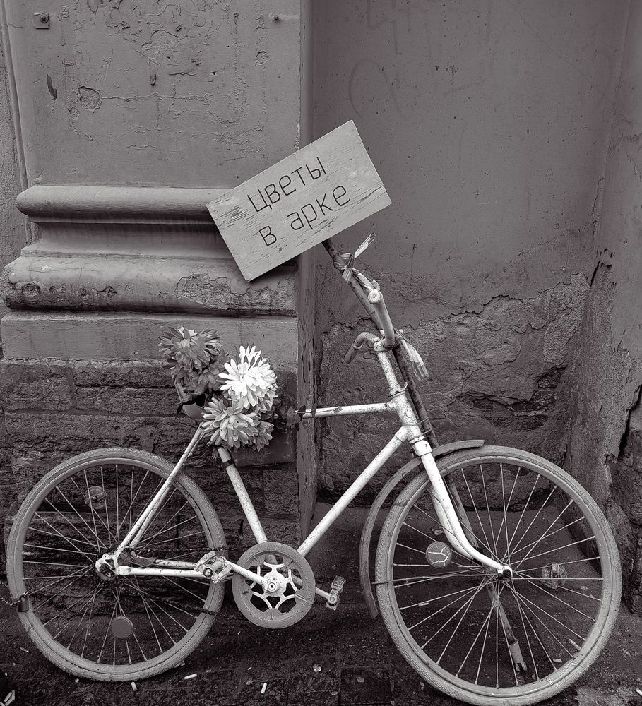 Photograph by Людмила Сарыцина