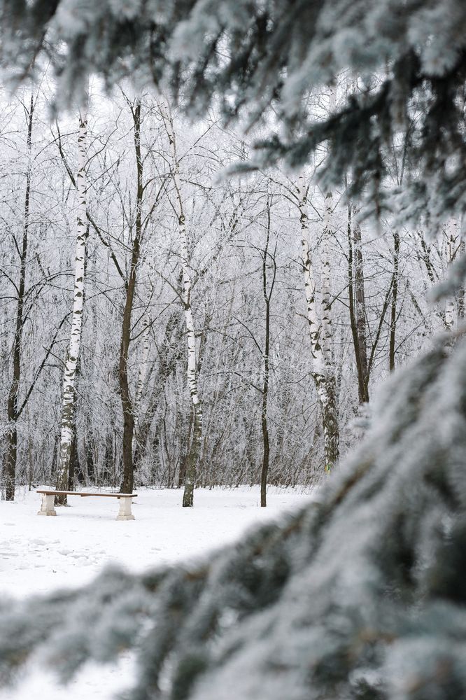 Photograph by Наталья Коряева