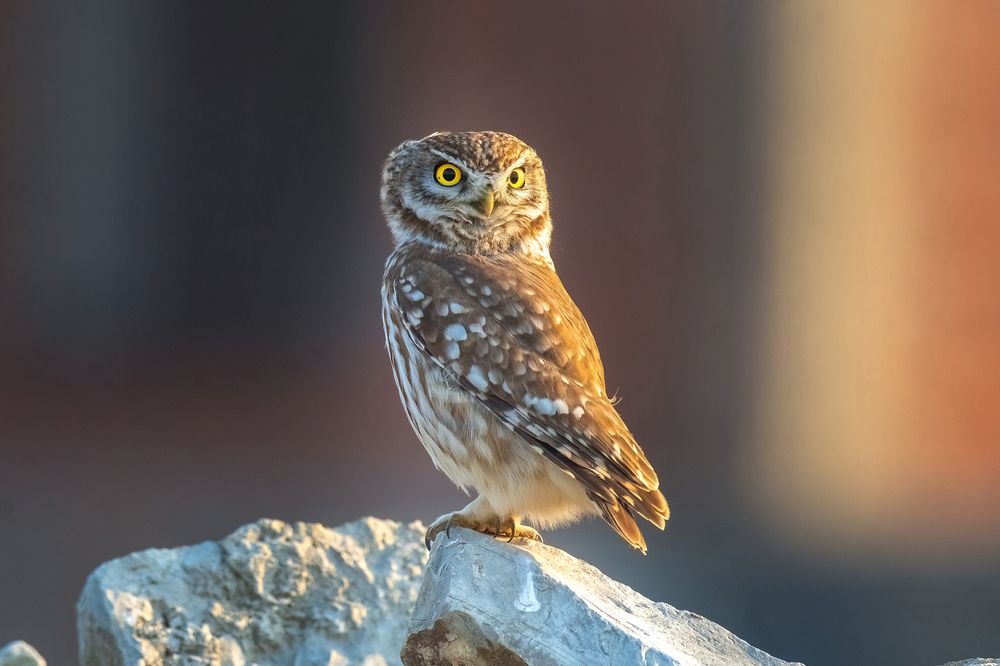 Photograph by Власов Егор